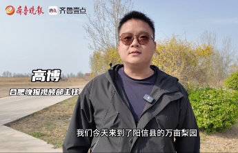 合肥晚报高博:万亩梨园带动乡村经济发展,从农业走向综合性产业